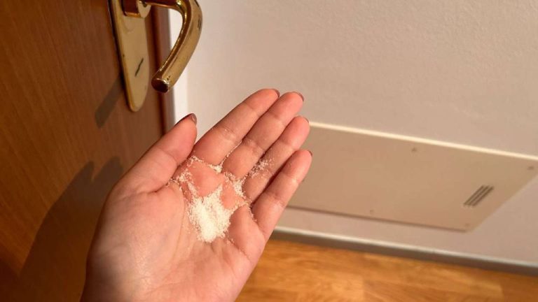 Sale Davanti alla Porta di Casa: Perché Sempre Più Persone lo Usano?